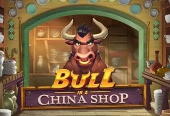 Bull in a China Shop